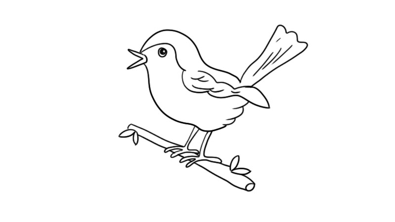鸟的尾巴简笔画图片