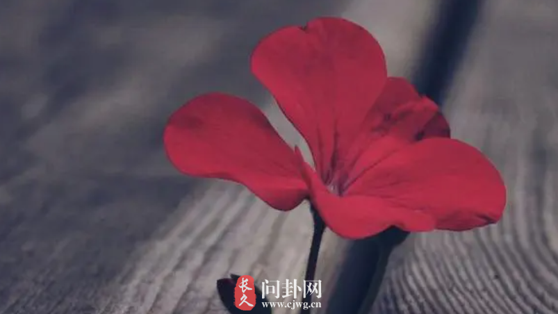 双鱼女跟什么星座男最配 双鱼女嫁给哪个星座男最幸福
