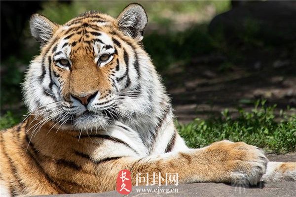 农历七月初一的男孩命好吗