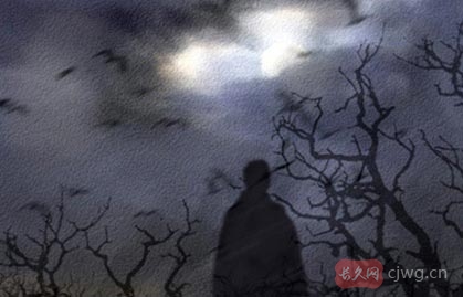 如何查八字是否相合（八字怎么知道合几个字）