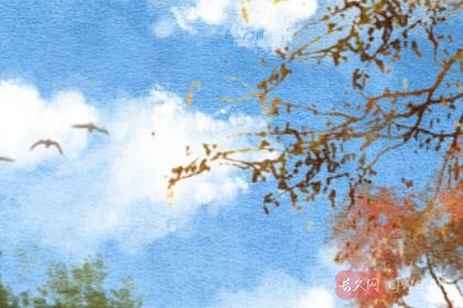 八字看命中注定的配偶（八字看配偶性格和事业）