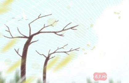 看夫妻八字合不合（两个人合八字合几个字最好）