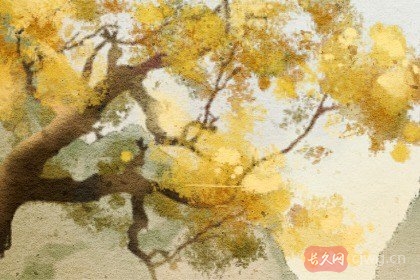 五行属金和什么五行配（八字对应的五行怎么看）