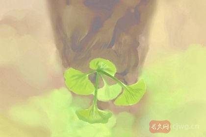 伴娘有什么忌讳（伴娘的主要做什么）