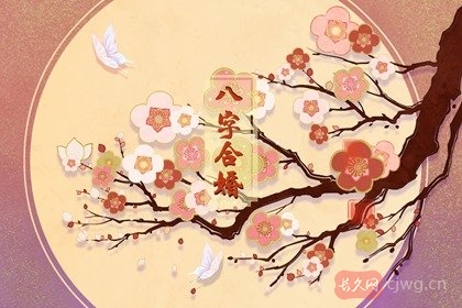 生辰八字看婚姻有没有科学道理(八字合婚的意义)