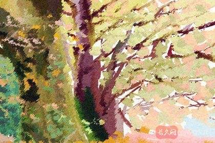 土命跟什么命好(男女五行八字婚配歌诀)