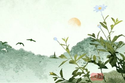 壬寅年动婚姻宫的八字（壬寅日柱婚姻宫）