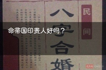 命带国印贵人好吗？