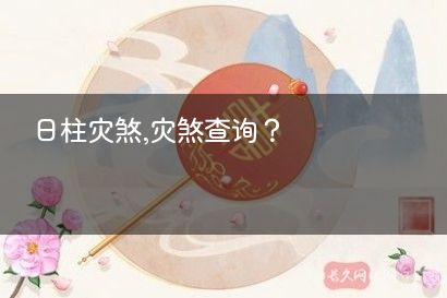 日柱灾煞,灾煞查询？