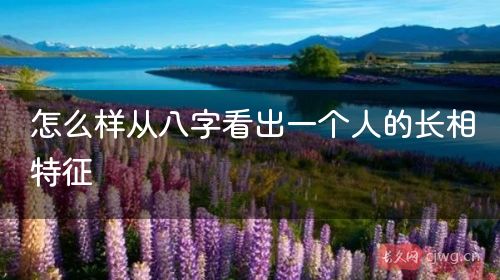 怎么样从八字看出一个人的长相特征