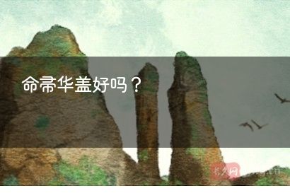 命带华盖好吗?