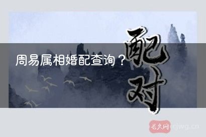 周易属相婚配查询？