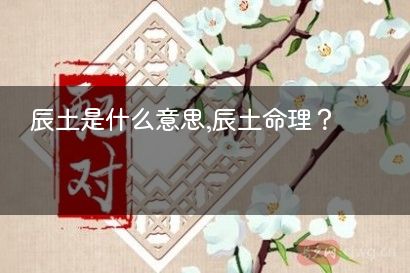 辰土是什么意思,辰土命理?
