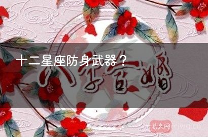十二星座防身武器？