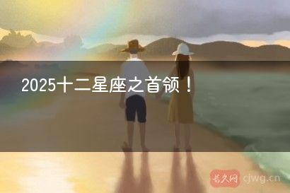 2025十二星座之首领！