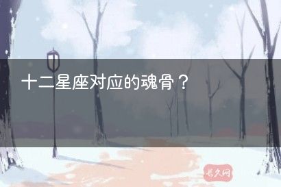 十二星座对应的魂骨?