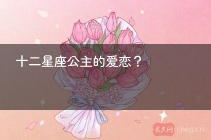 十二星座公主的爱恋？