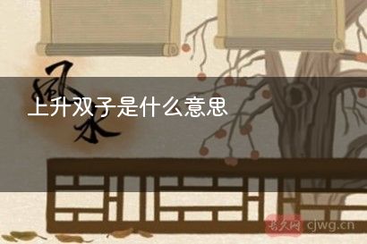 上升双子是什么意思